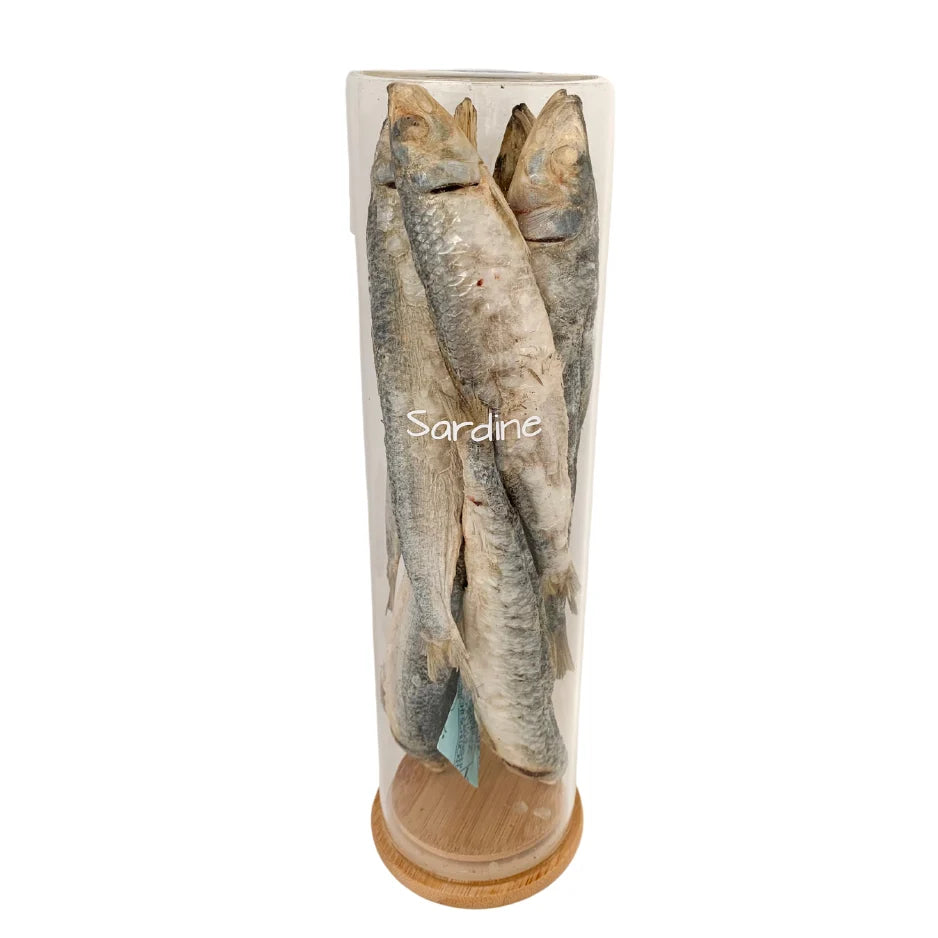 Freeze-Dried Raw Sardine Treats (80g)